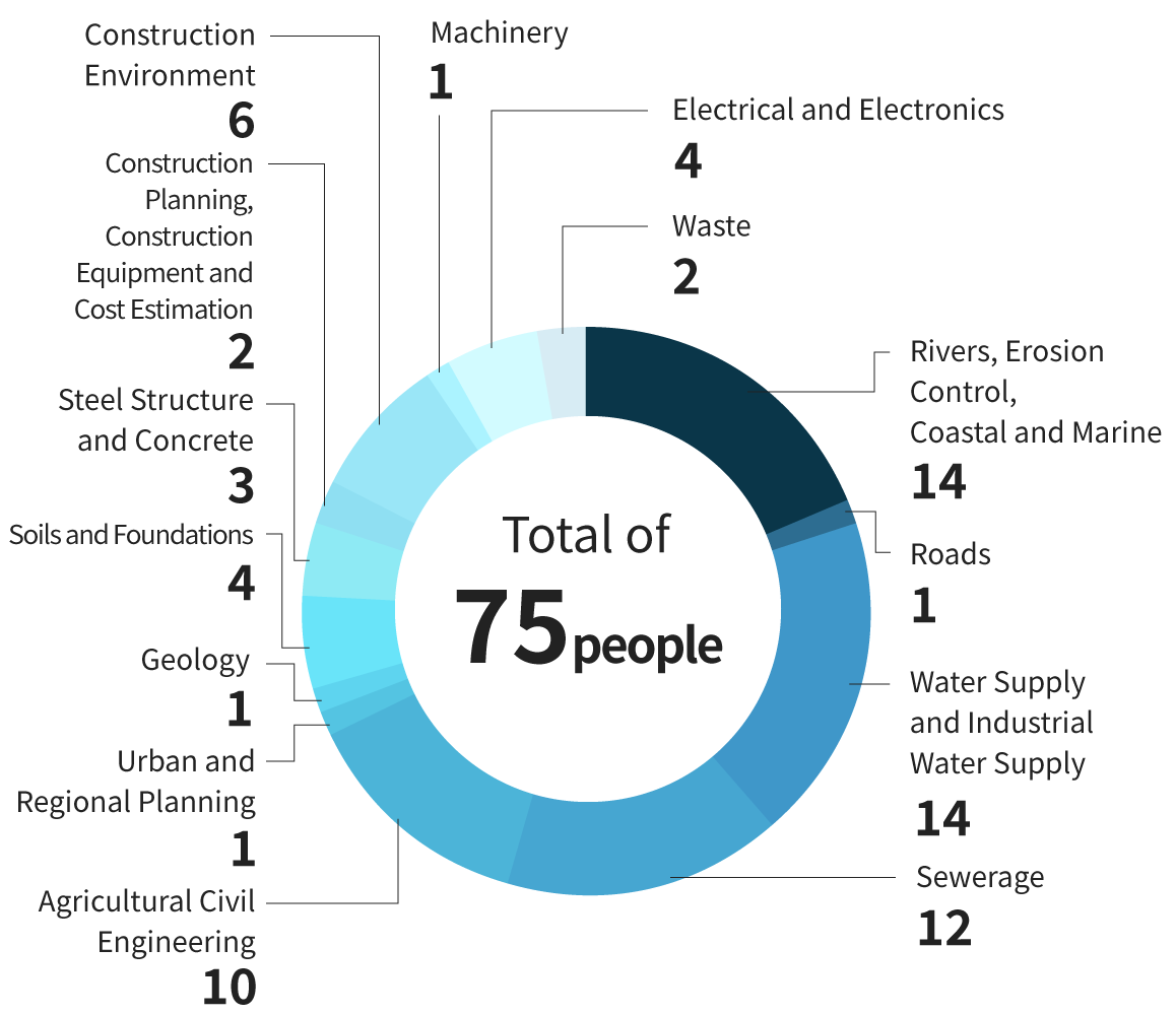 No. of RCCM (Pie Chart): Rivers, Erosion Control, Coastal and Marine: 14, Roads: 1, Sewerage and Industrial Water Supply: 14, Sewerage: 12, Waste: 2, Electrical and Electronics: 4, Machinery: 1, Construction Environment: 6, Construction Planning, Construction Equipment and Cost Estimation: 2, Steel Structure and Concrete: 3, Soils and Foundations: 4, Geology: 1, Urban and Regional Planning: 1, Agricultural Civil Engineering: 10. Total of 75 people.